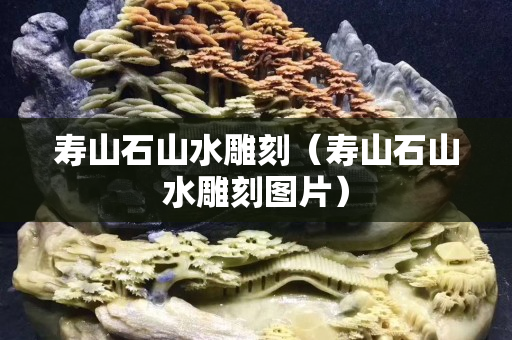 寿山石山水雕刻（寿山石山水雕刻图片）