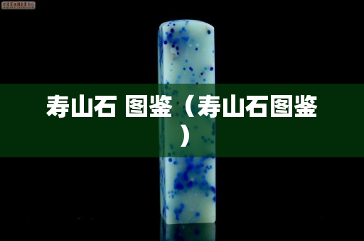 寿山石 图鉴（寿山石图鉴）
