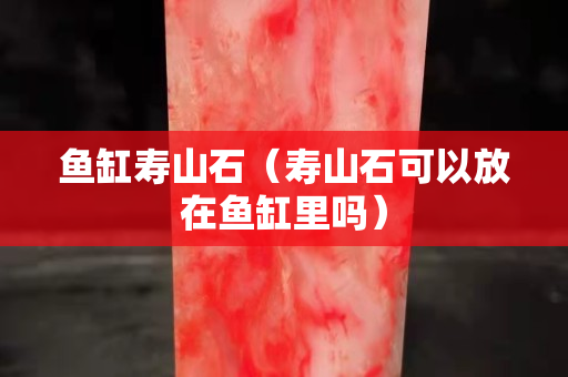 鱼缸寿山石（寿山石可以放在鱼缸里吗）
