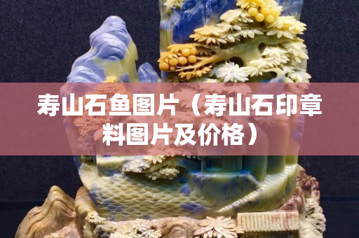 寿山石鱼图片（寿山石印章料图片及价格）