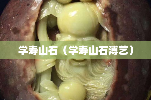 学寿山石（学寿山石溥艺）