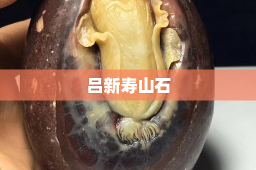 吕新寿山石
