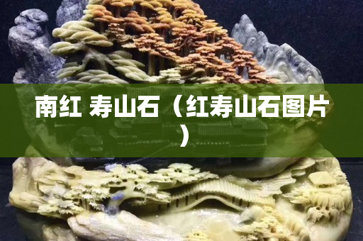 南红 寿山石（红寿山石图片）