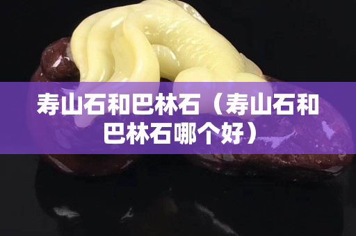 寿山石和巴林石（寿山石和巴林石哪个好）