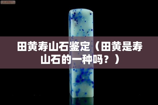 田黄寿山石鉴定（田黄是寿山石的一种吗？）