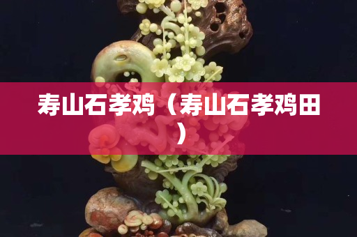 寿山石孝鸡（寿山石孝鸡田）