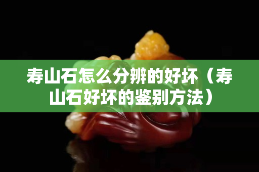 寿山石怎么分辨的好坏（寿山石好坏的鉴别方法）