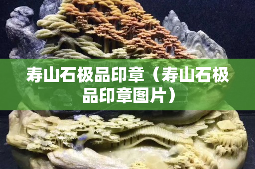寿山石极品印章（寿山石极品印章图片）