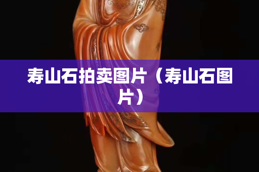 寿山石拍卖图片（寿山石图片）