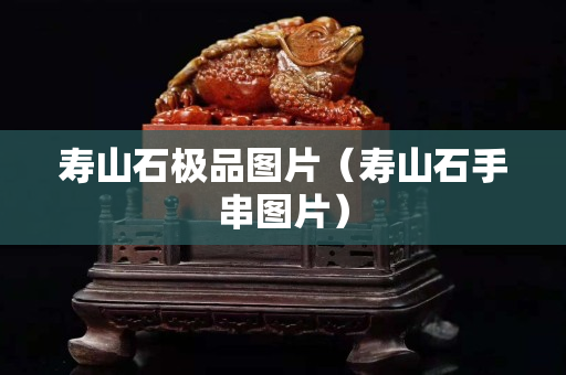 寿山石极品图片（寿山石手串图片）