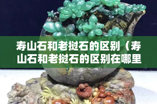 寿山石和老挝石的区别（寿山石和老挝石的区别在哪里怎样鉴别）