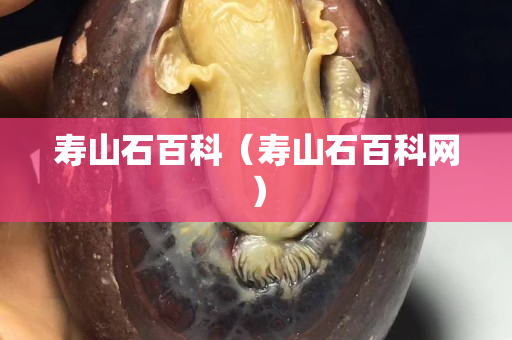 寿山石百科（寿山石百科网）