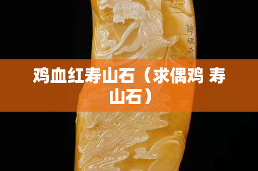 鸡血红寿山石（求偶鸡 寿山石）