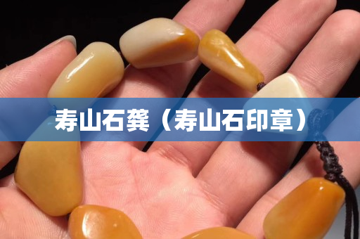 寿山石龚（寿山石印章）