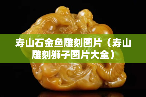 寿山石金鱼雕刻图片（寿山雕刻狮子图片大全）