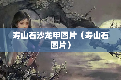 寿山石沙龙甲图片（寿山石图片）