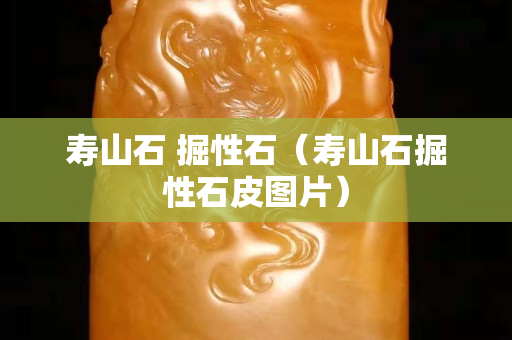 寿山石 掘性石（寿山石掘性石皮图片）