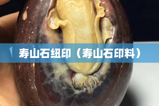寿山石纽印（寿山石印料）