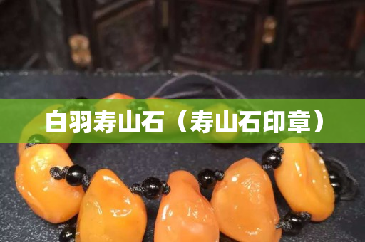 白羽寿山石（寿山石印章）