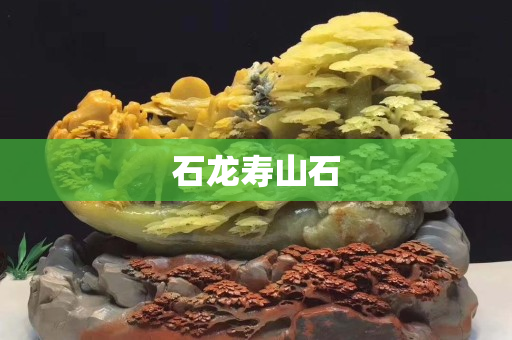石龙寿山石