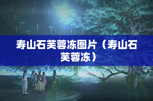寿山石芙蓉冻图片（寿山石 芙蓉冻）