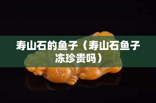 寿山石的鱼子（寿山石鱼子冻珍贵吗）