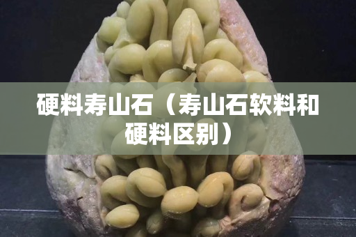 硬料寿山石（寿山石软料和硬料区别）