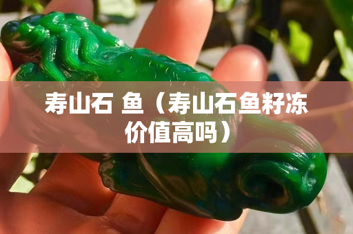 寿山石 鱼（寿山石鱼籽冻价值高吗）
