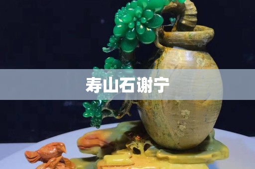 寿山石谢宁