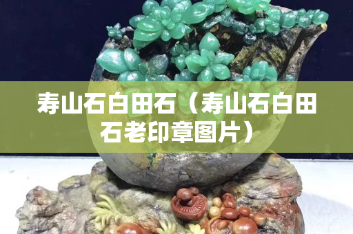 寿山石白田石（寿山石白田石老印章图片）