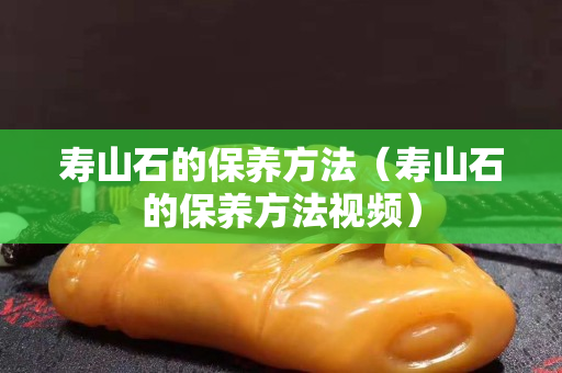 寿山石的保养方法（寿山石的保养方法视频）