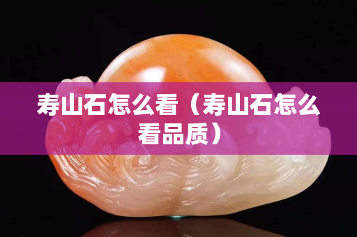寿山石怎么看（寿山石怎么看品质）
