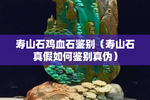 寿山石鸡血石鉴别（寿山石真假如何鉴别真伪）