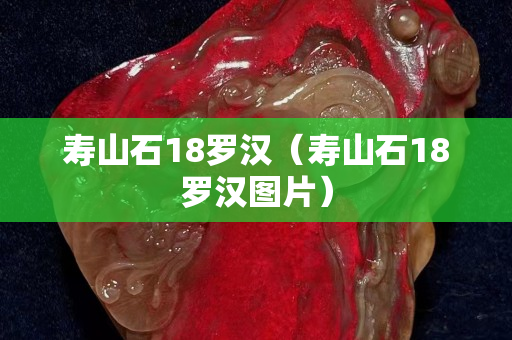 寿山石18罗汉（寿山石18罗汉图片）