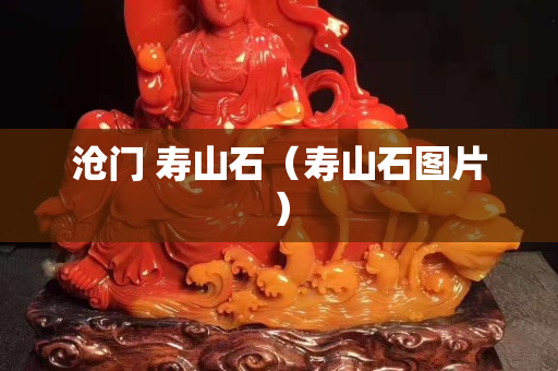 沧门 寿山石（寿山石图片）