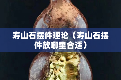 寿山石摆件理论（寿山石摆件放哪里合适）