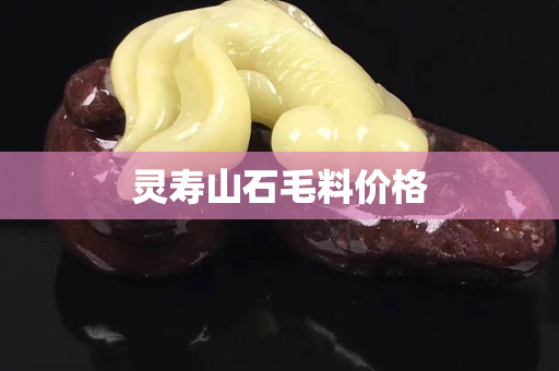 灵寿山石毛料价格