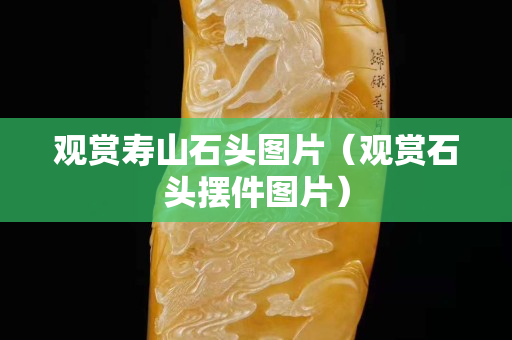 观赏寿山石头图片（观赏石头摆件图片）