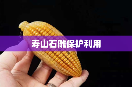 寿山石雕保护利用