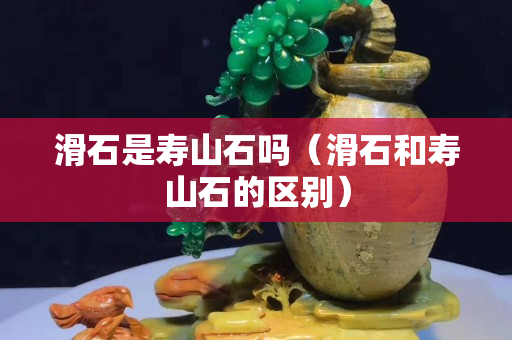 滑石是寿山石吗（滑石和寿山石的区别）