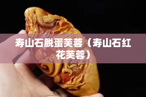 寿山石脱蛋芙蓉（寿山石红花芙蓉）