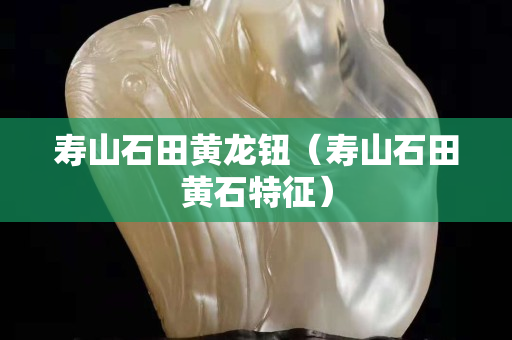 寿山石田黄龙钮（寿山石田黄石特征）