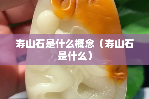 寿山石是什么概念（寿山石是什么）