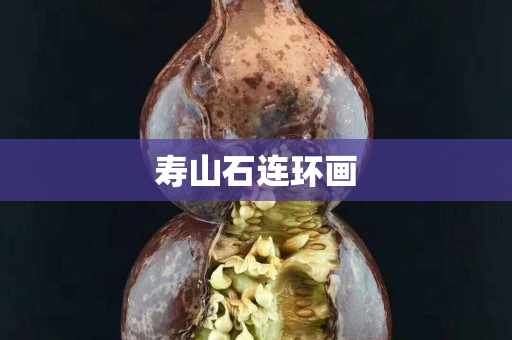 寿山石连环画