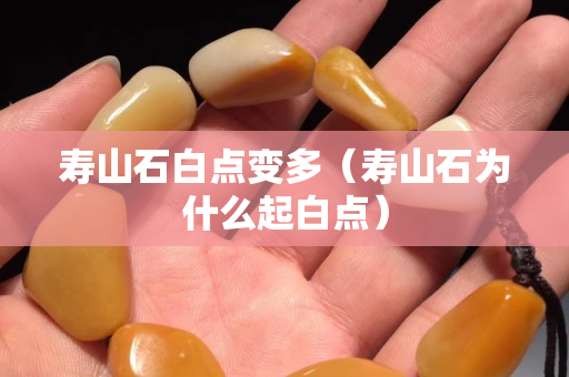 寿山石白点变多（寿山石为什么起白点）