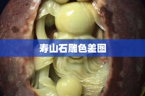 寿山石雕色差图