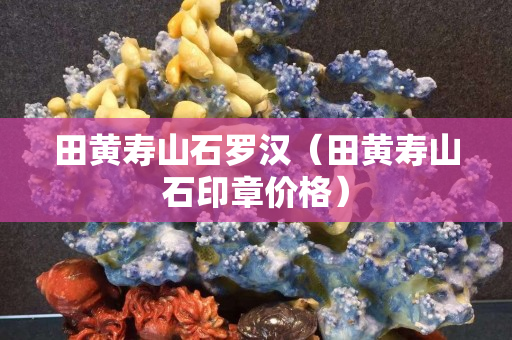 田黄寿山石罗汉（田黄寿山石印章价格）