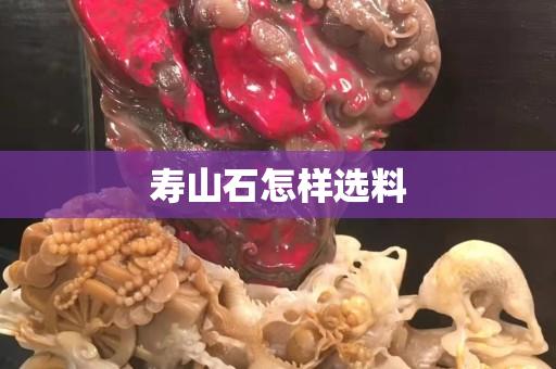 寿山石怎样选料