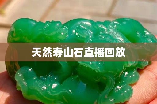 天然寿山石直播回放