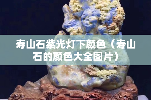 寿山石紫光灯下颜色（寿山石的颜色大全图片）